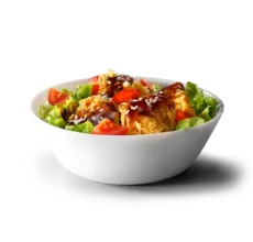 Salat teriYa ki 1