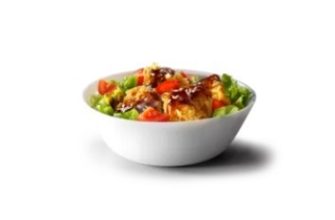 salat terijaki