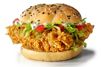 shevburger dgunior