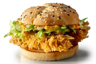 shevburger dgunior ostr 1