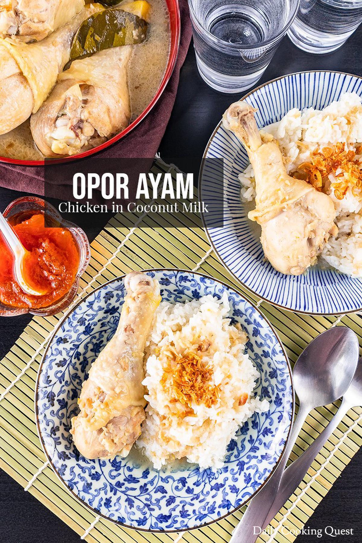 What is Opor Ayam?