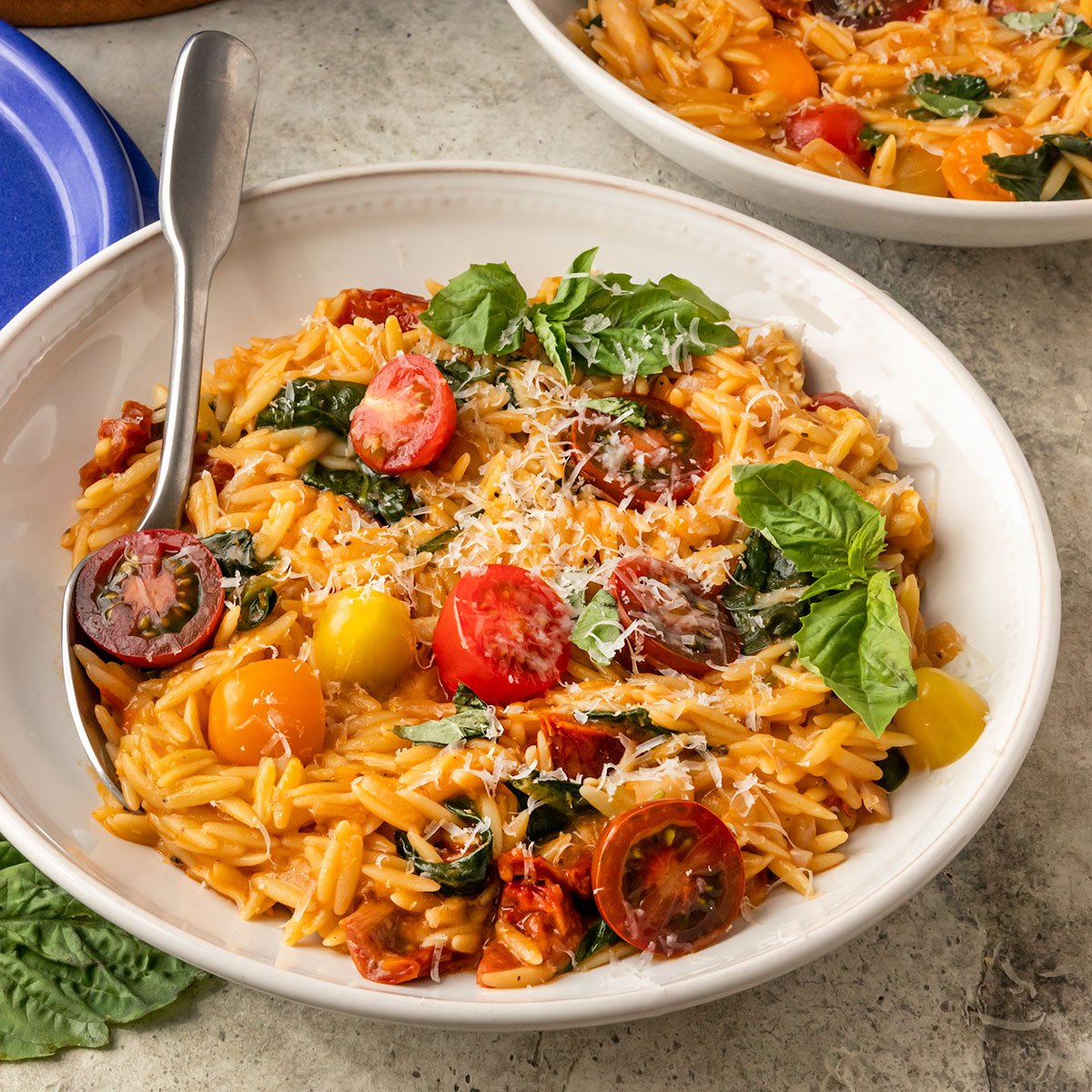 The Health Benefits of Orzo Pasta
