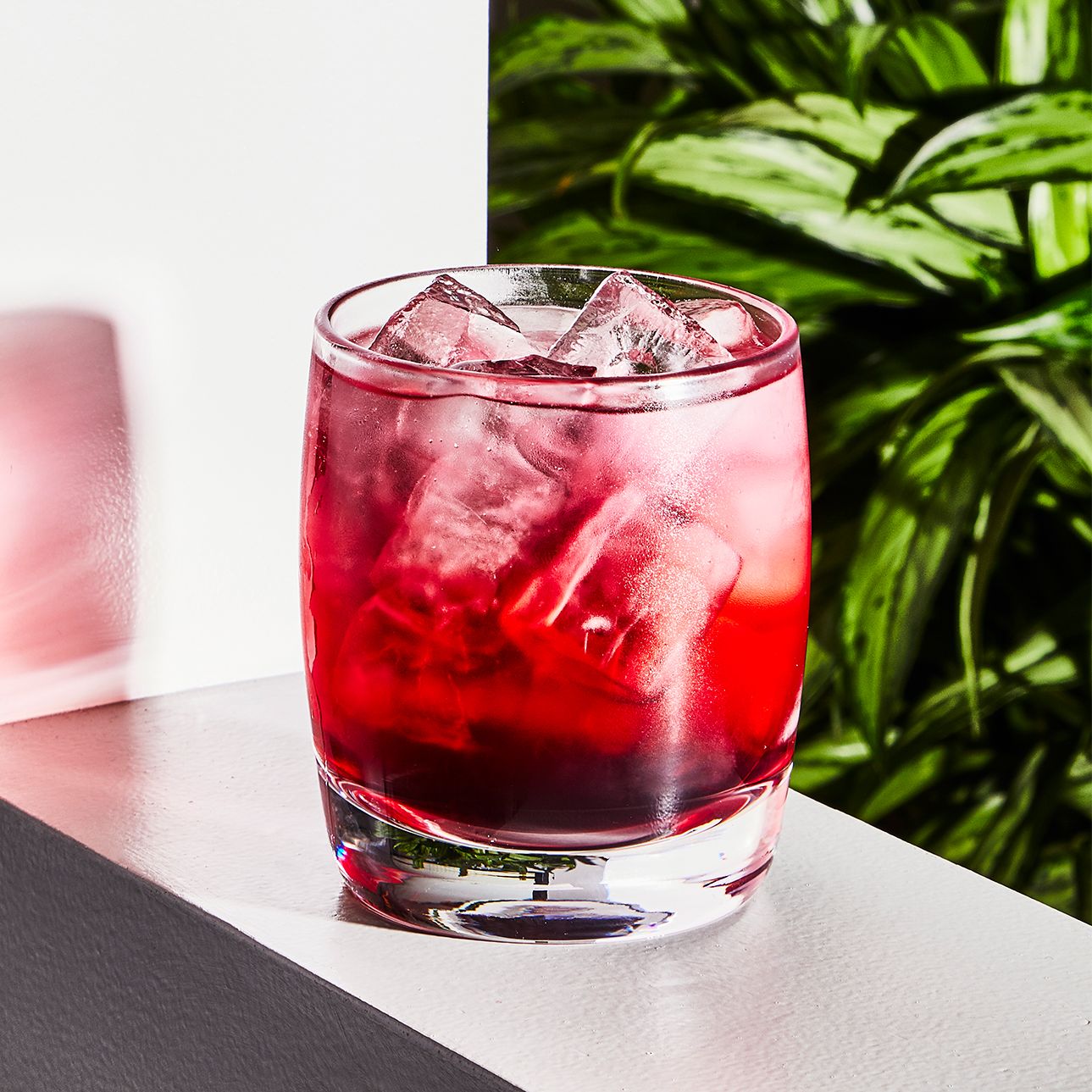 Hibiscus: A Vibrant Flower with Blood Pressure-Lowering and Antioxidant Benefits